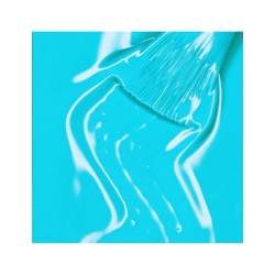 GEL ON OFF THUYA 14 ML FIJI