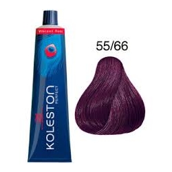 TINTE KOLESTON 55/66