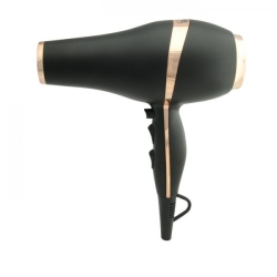 SECADOR LIM LX 2200W