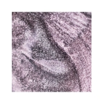 GEL ON OFF THUYA 14 ML SILVER